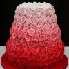 Ombre Pink Roses Cake