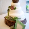 Love Birds and Succulents Wedding Cake