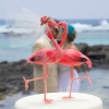 Cake Topper Friday:  Flamingo Bride and Groom