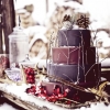 Deep Brown Winter Wedding Cake
