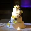 Blue and Yellow Flower Cake with Plumeria