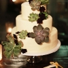 Wedding Cake with Succulents