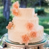 Pretty in Pink Wedding Cake