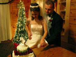 Christmas wedding cake