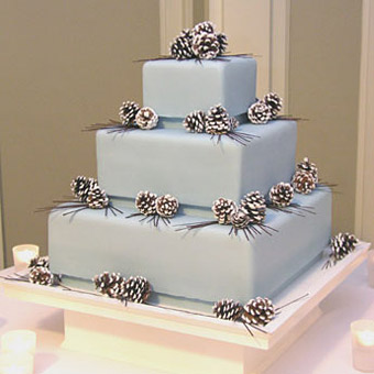 Wedding Dress Shops Manchester on Winter Wedding Cake Ideas   Flash Me    Wedding Planning Discussion