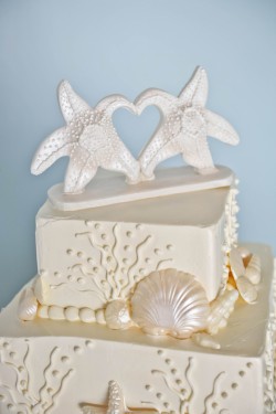 Starfish Cake Starfish Cake