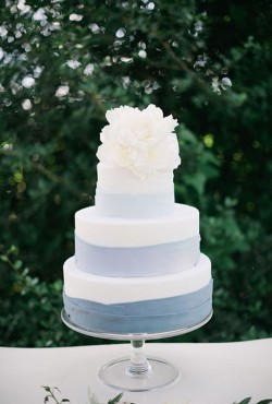 blue and white cake2