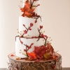 Rustic Fall Wedding Cake