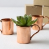 Fun Wedding Favors – Mini Copper Moscow Mule Mugs