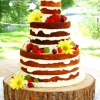 Naked Summertime Cake