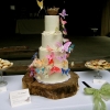 Butterfly Cake with Nest Topper