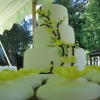 Yellow Blossom Wedding Cake