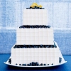 Summertime Lemon Blueberry Wedding Cake