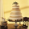 China Pattern Inspired Wedding Cake
