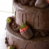 Chocolate Covered Strawberry Wedding Cake