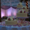 Separated Tier Wedding Cake