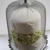 Vintage Birdcage Cake