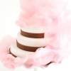 Pink Vanilla Cotton Candy Cake
