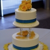 Blue and Yellow Cake