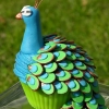 Peacock Cupcake