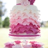 Let Them Eat Cake:  Sunday Round-Up for January 15, 2011