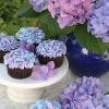 Hydrangea Cupcakes