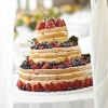 Naked Wedding Cake, Part Trois