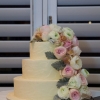 Let Them Eat Cake:  Sunday Round-Up for November 19, 2012