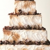 S’mores Wedding Cake