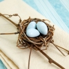 Fun Wedding Favor – Mini Bird Nest