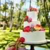 Roses and Succulents Wedding Cake