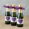 Fun Wedding Favors – Miniature Sparkling Cider Bottles