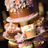 Wedding Cake and Cupcakes