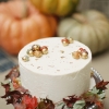 Rustic Fall Cake with Acorns