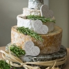 Let Them Eat Cheese!