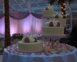 separated tiers wedding cake