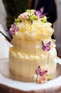 Butterfly cake