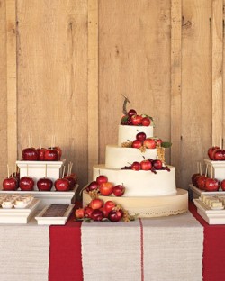 Martha Stewart Apple Cake