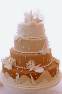 sand color ombre seashell cake