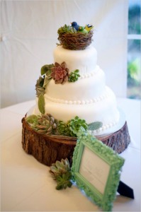 succulent_wedding_cake