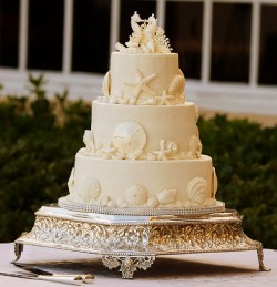 White on white seashell wedding cake
