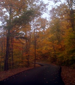 WV Autumn 2011