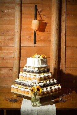 Yellow and White Cupcakes