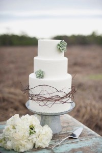 Succulent and Bramble Wedding Cake