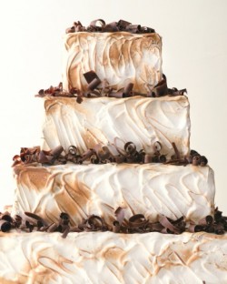 smores wedding cake