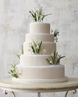 wedding-cakes-05-mwd108904_vert