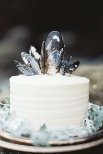 cake with shells