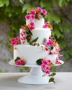 cake and flowers