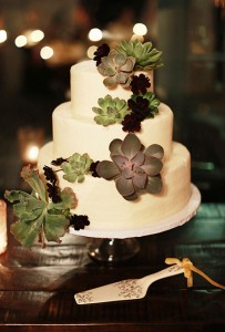 succulent cake