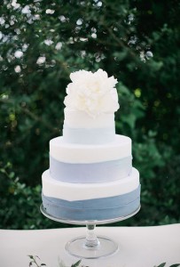 blue and white cake2